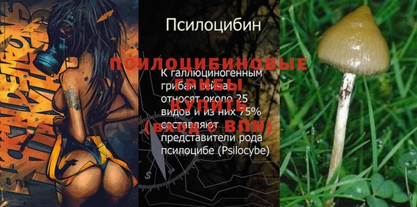 крисы Заводоуковск
