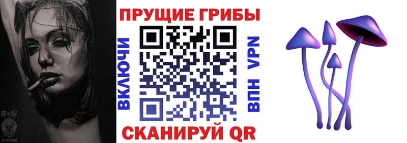 закладка  Свирск  Галлюциногенные грибы Psilocybe 